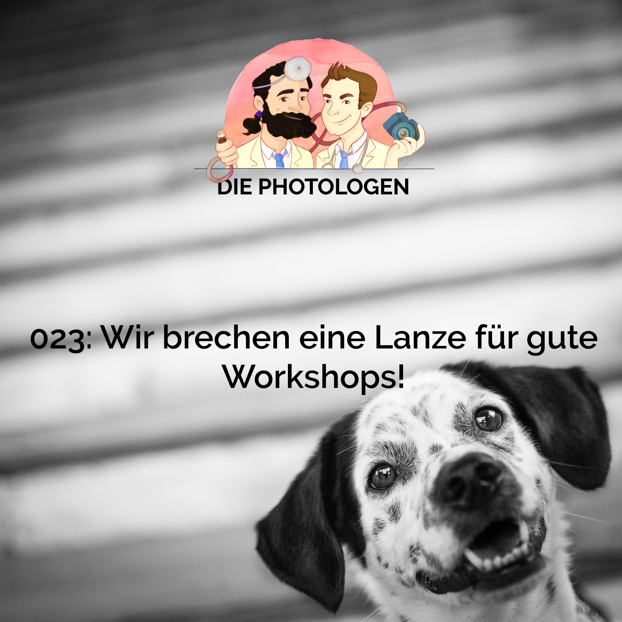 023: Wir brechen eine Lanze für gute Workshops