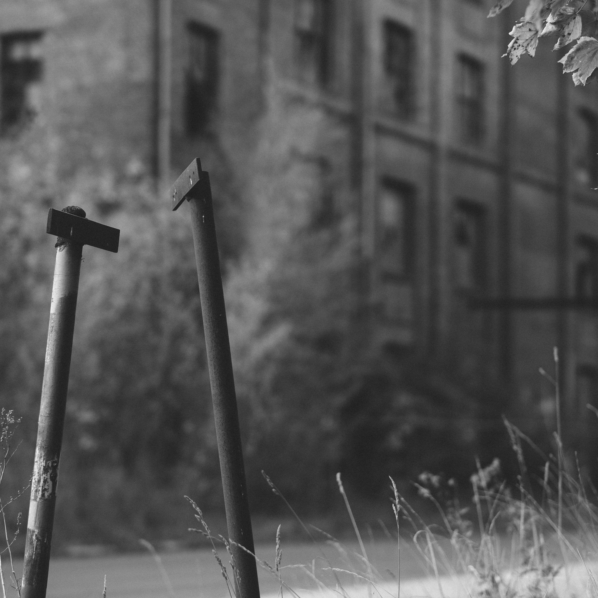 „Das Photologen-Campustreffen 2018“ oder „Die Schreibblockade unseres Lebens“