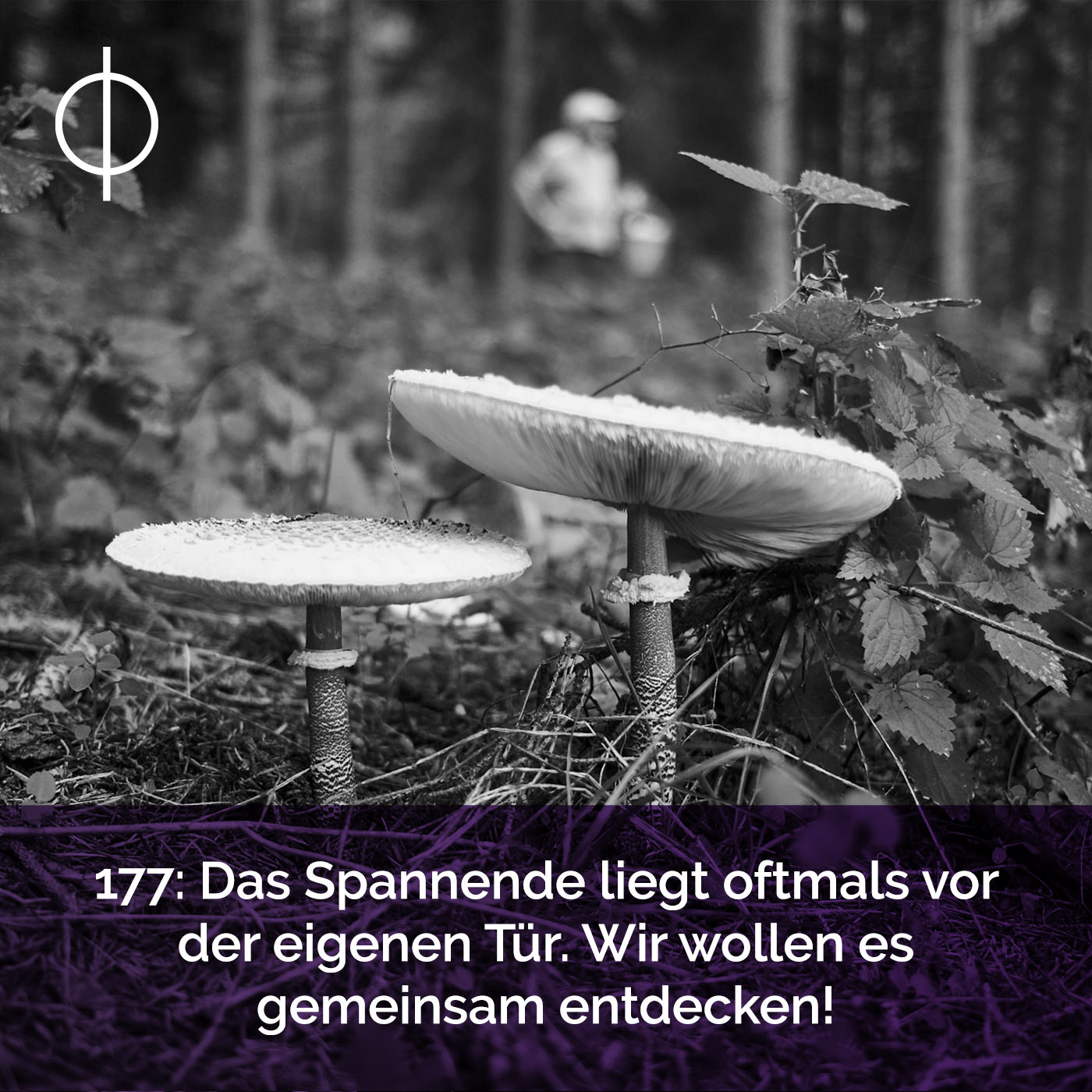 177: Das Spannende liegt oftmals vor der eigenen Haustür. Wir wollen es gemeinsam entdecken!