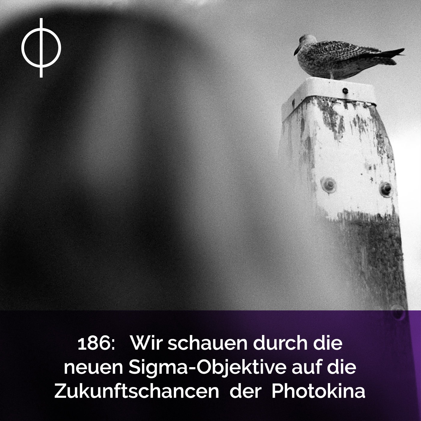 186: Wir schauen durch die neuen Sigma Objektive auf die Zukunftschancen der Photokina