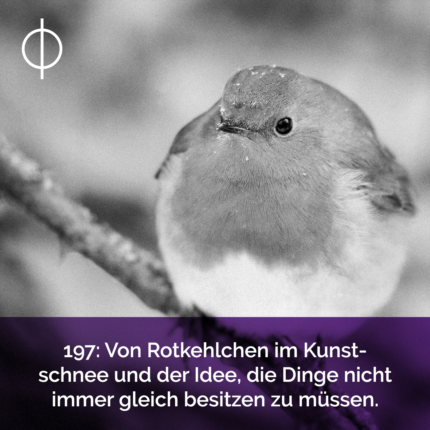 197: Von Rotkehlchen im Kunstschnee und der Idee, die Dinge nicht immer gleich besitzen zu müssen.