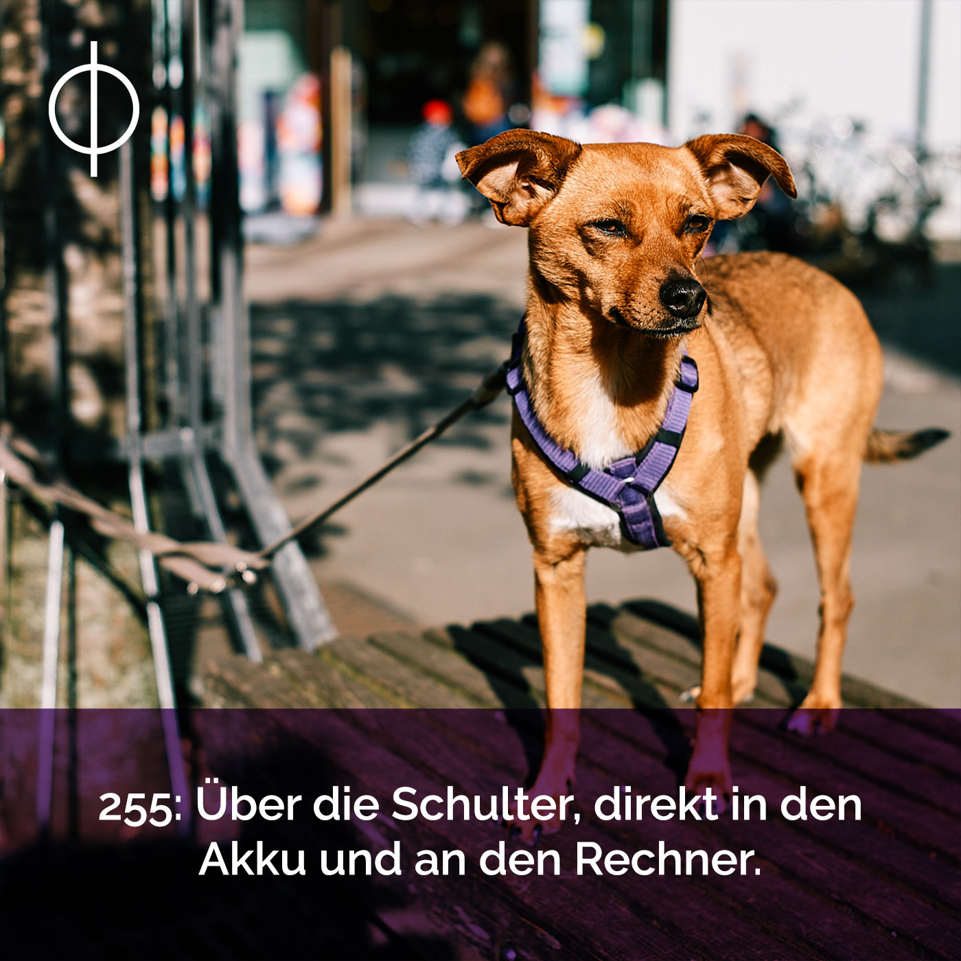 255: Über die Schulter, direkt in den Akku und an den Rechner.